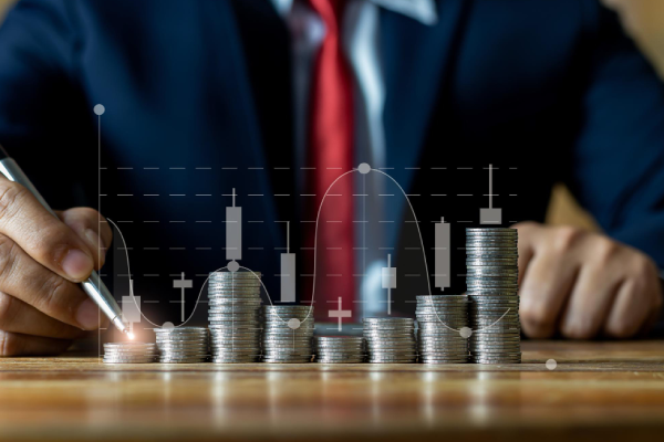 Optimal Capital Structure